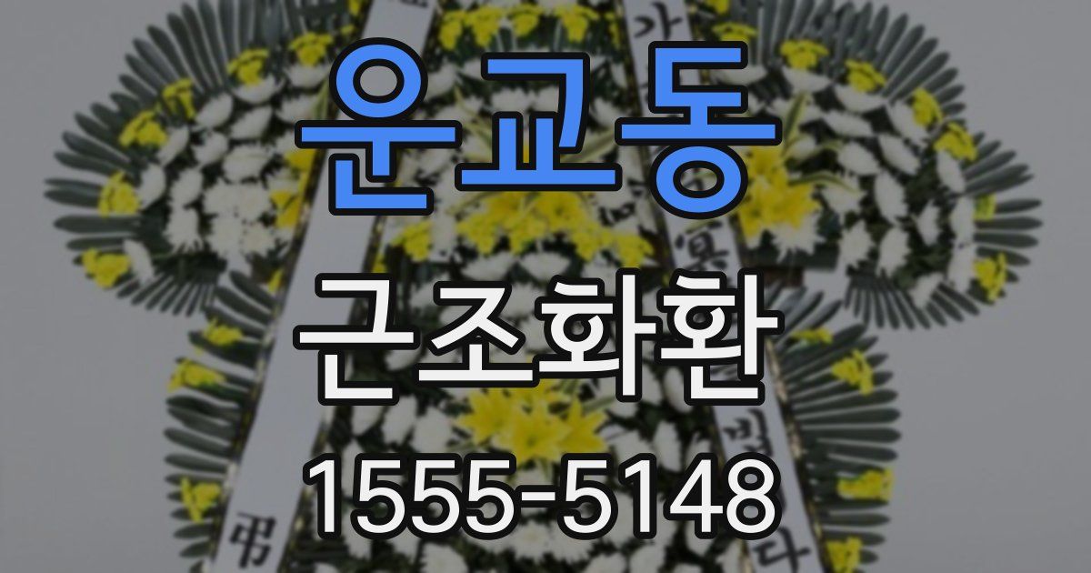 운교동 근조화환