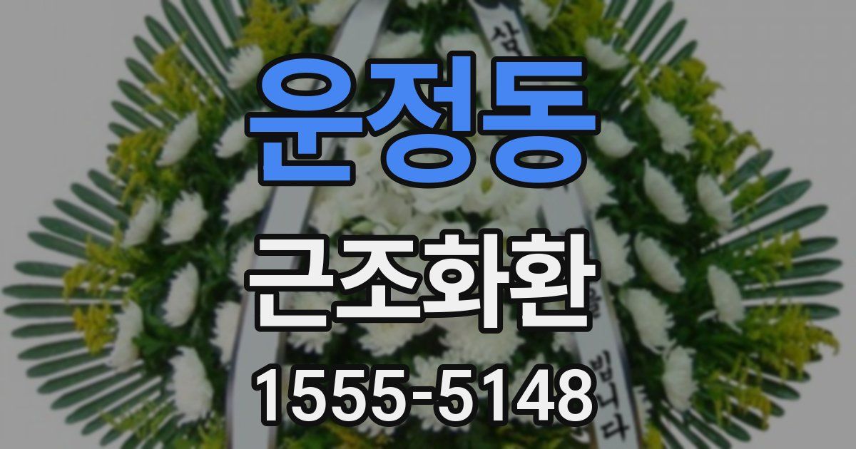 운정동 근조화환