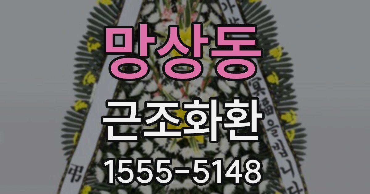 망상동 근조화환