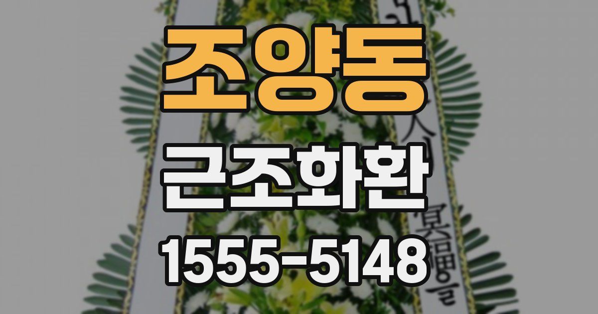 조양동 근조화환