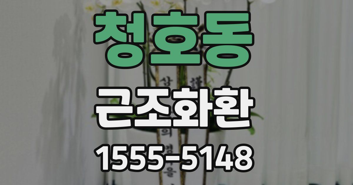 청호동 근조화환