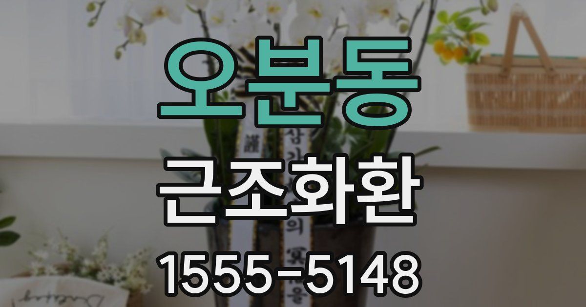 오분동 근조화환