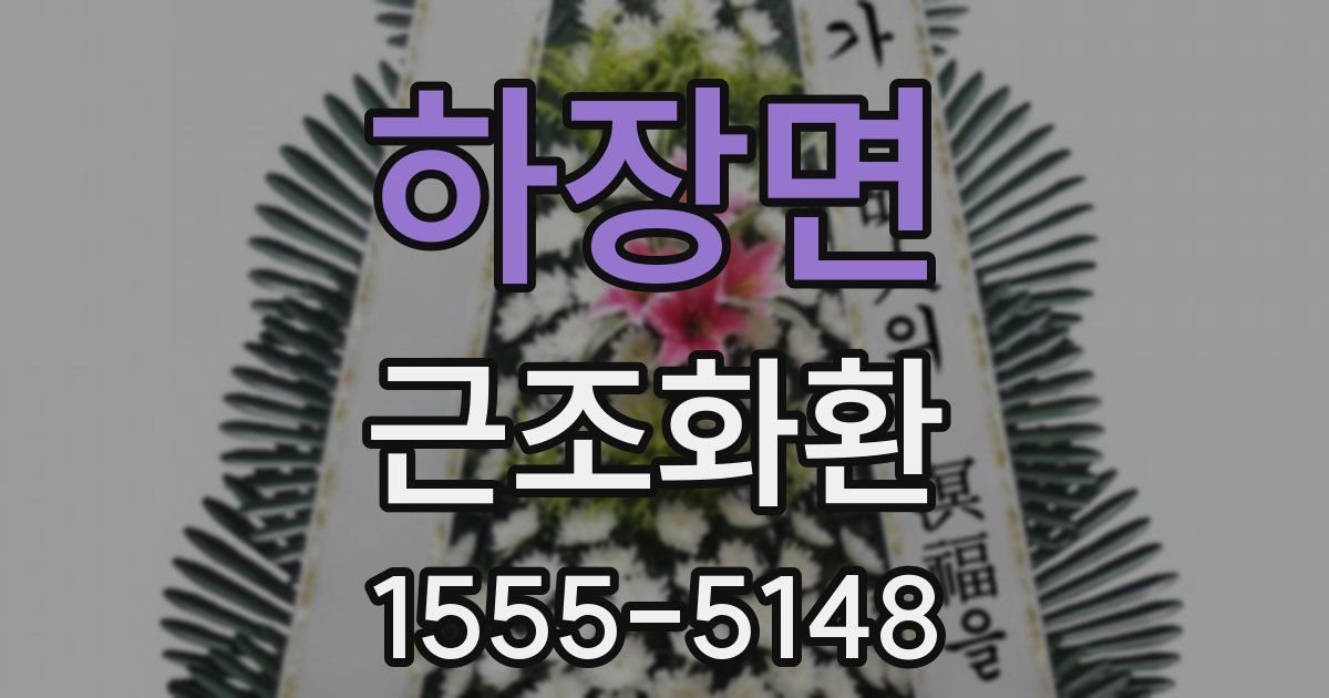 하장면 근조화환
