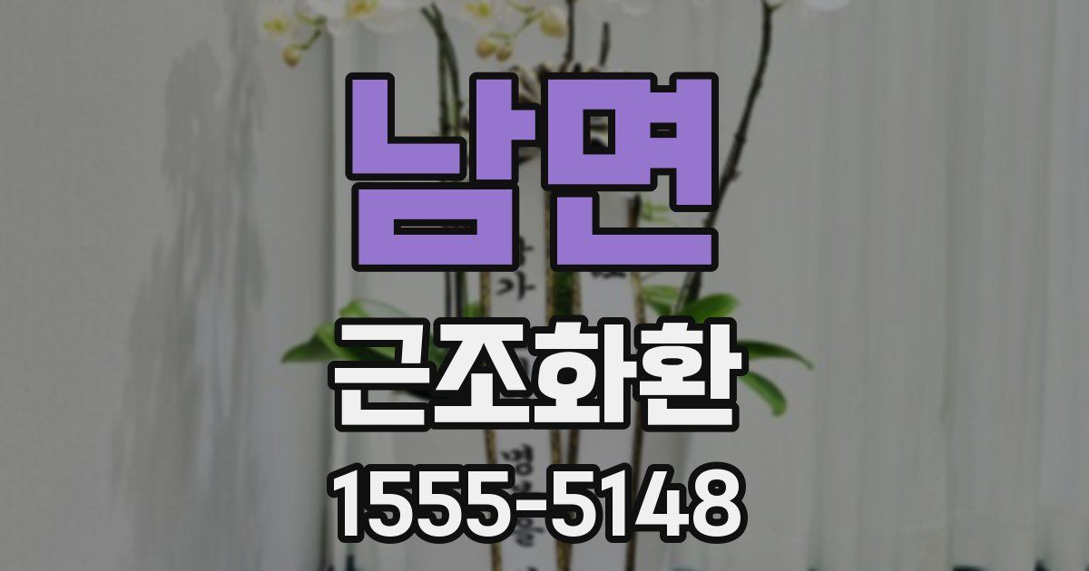 남면 근조화환
