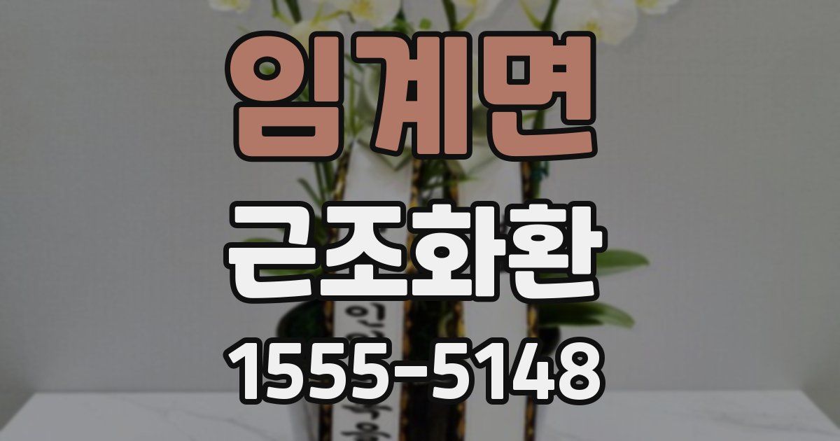 임계면 근조화환