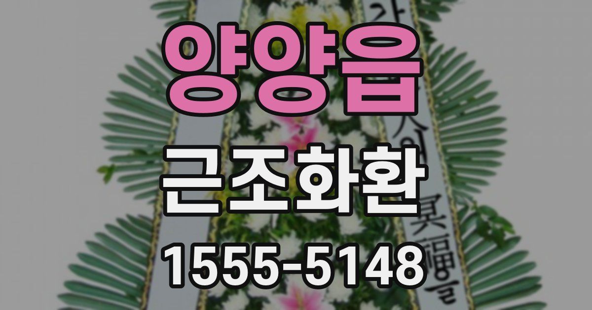 양양읍 근조화환