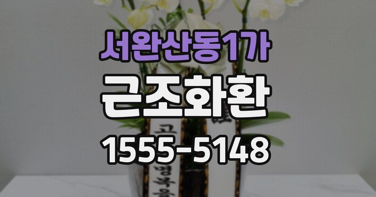 서완산동1가 근조화환