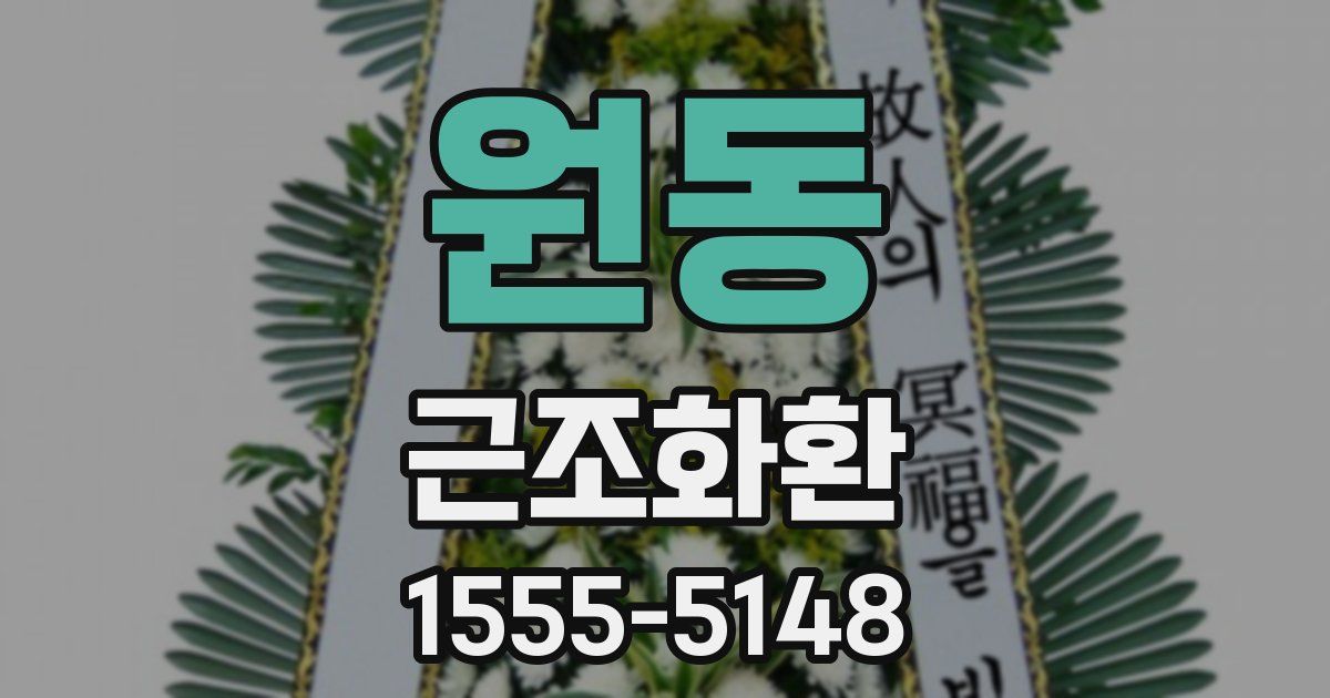 원동 근조화환