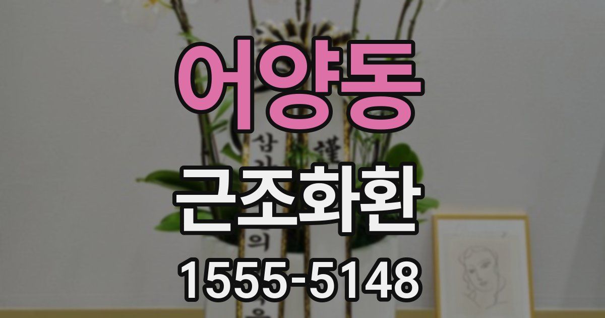 어양동 근조화환