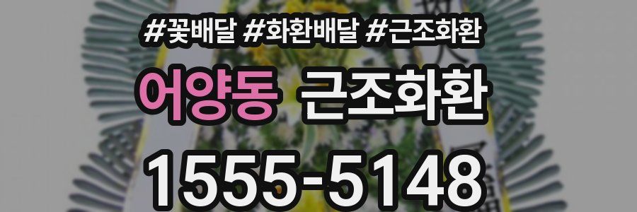 어양동 근조화환