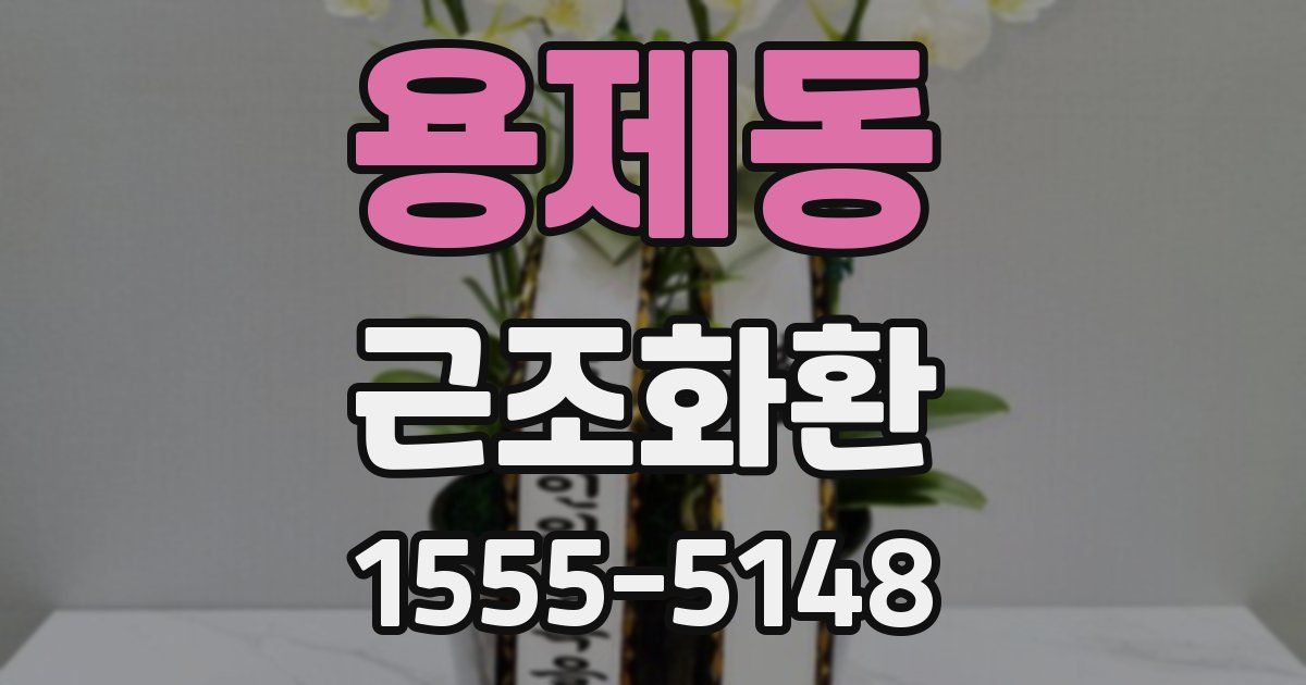 용제동 근조화환