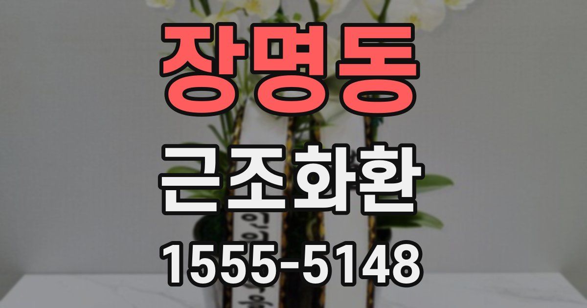 장명동 근조화환
