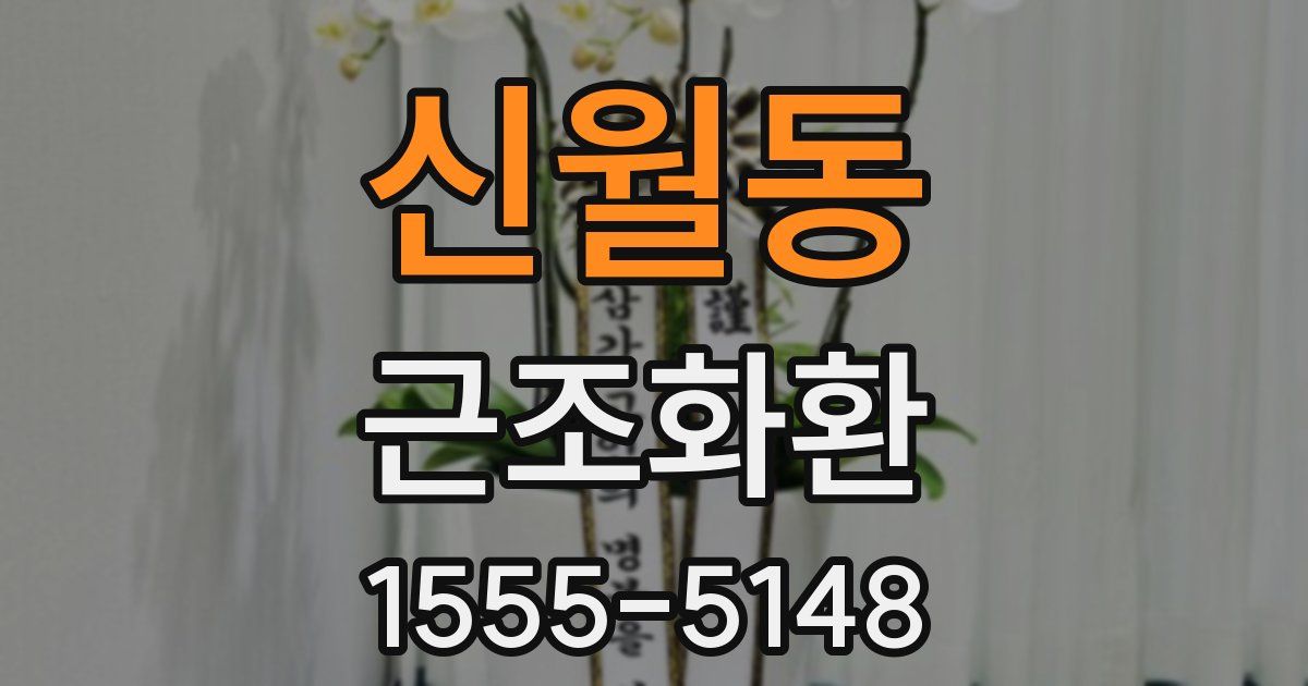 신월동 근조화환