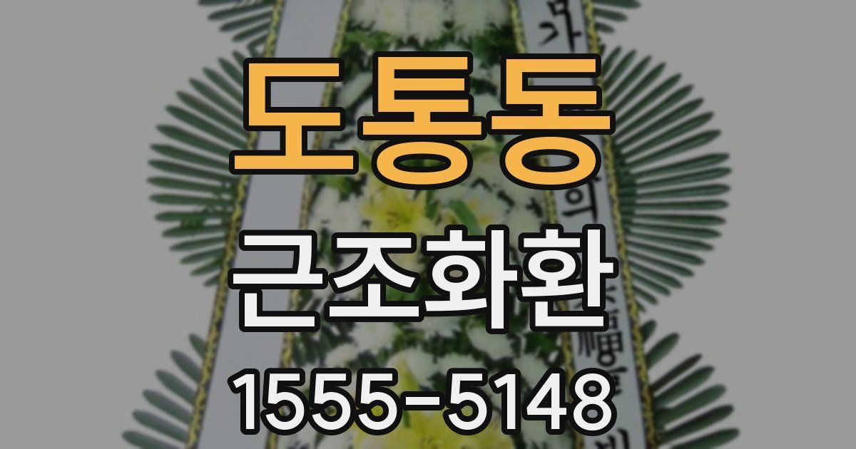 도통동 근조화환