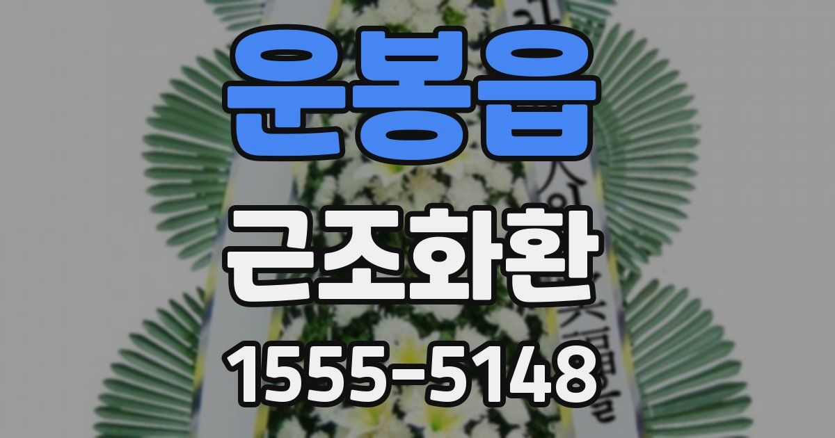 운봉읍 근조화환
