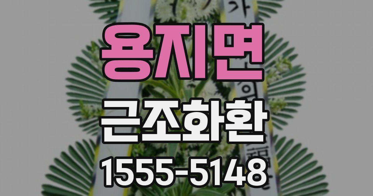 용지면 근조화환