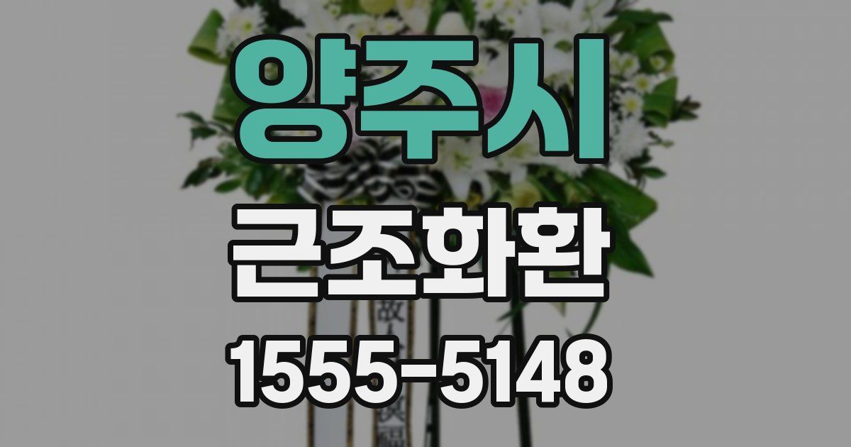 양주시 근조화환