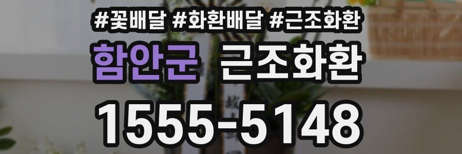 함안군 근조화환