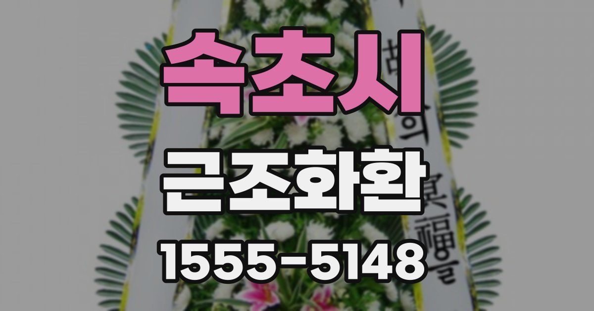 속초시 근조화환
