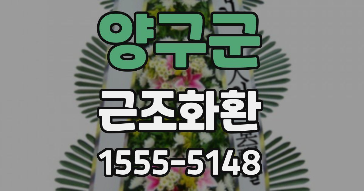 양구군 근조화환