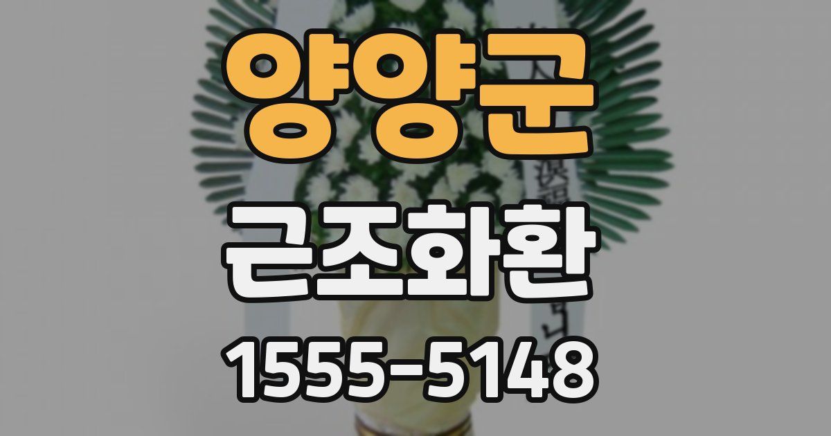 양양군 근조화환