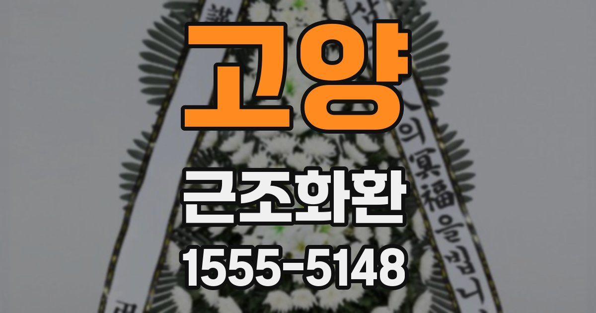 고양 근조화환
