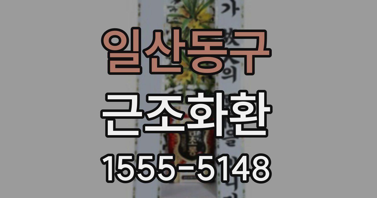 일산동구 근조화환