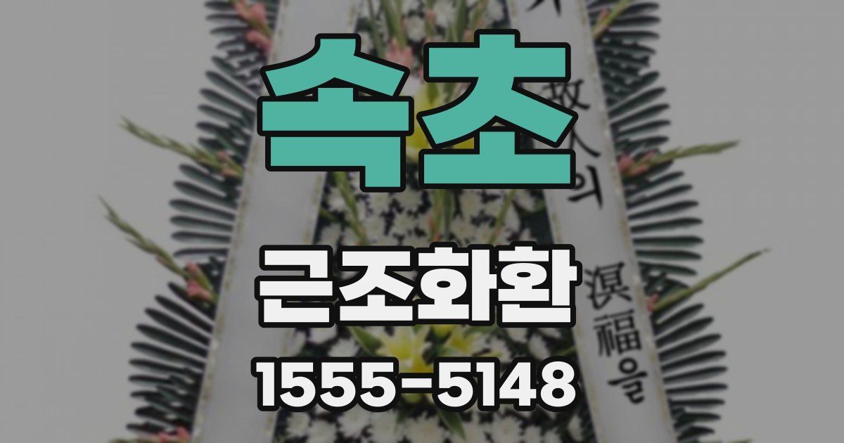 속초 근조화환