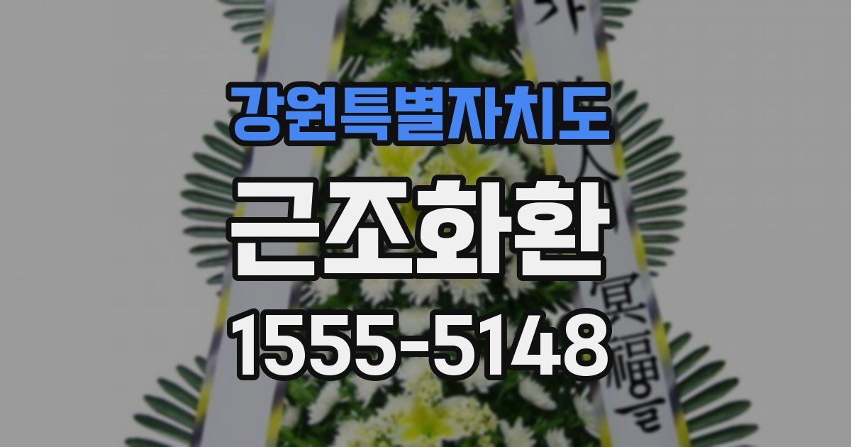 강원특별자치도 근조화환
