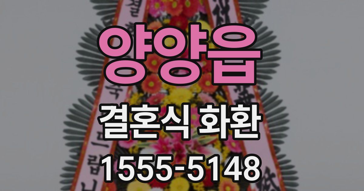 양양읍 결혼식 화환