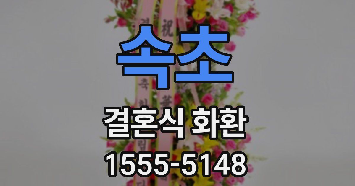 속초 결혼식 화환
