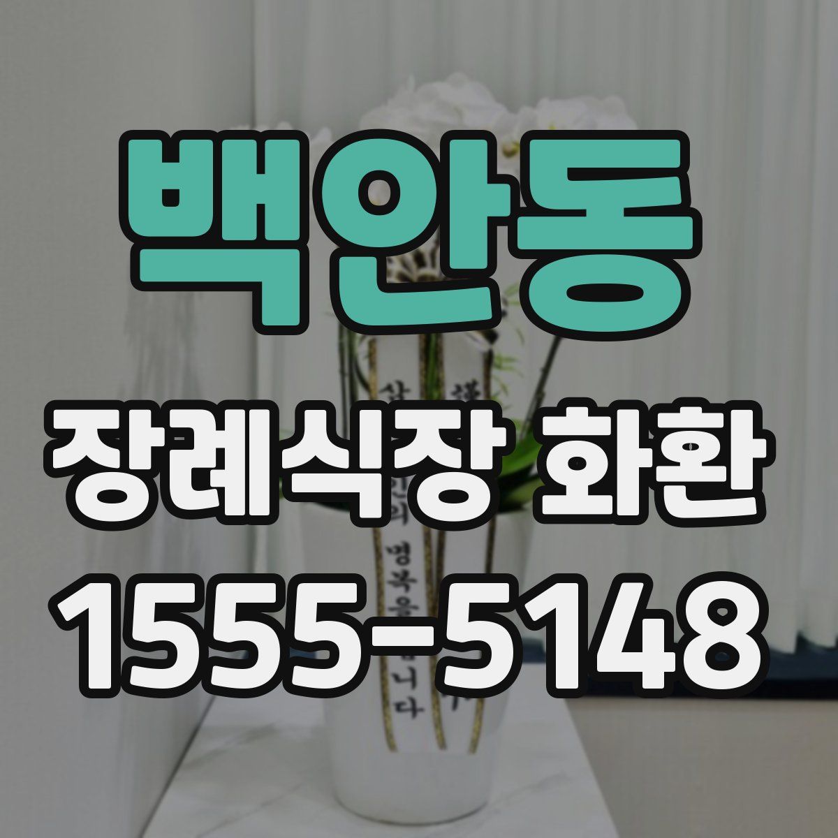 백안동 장례식장 화환