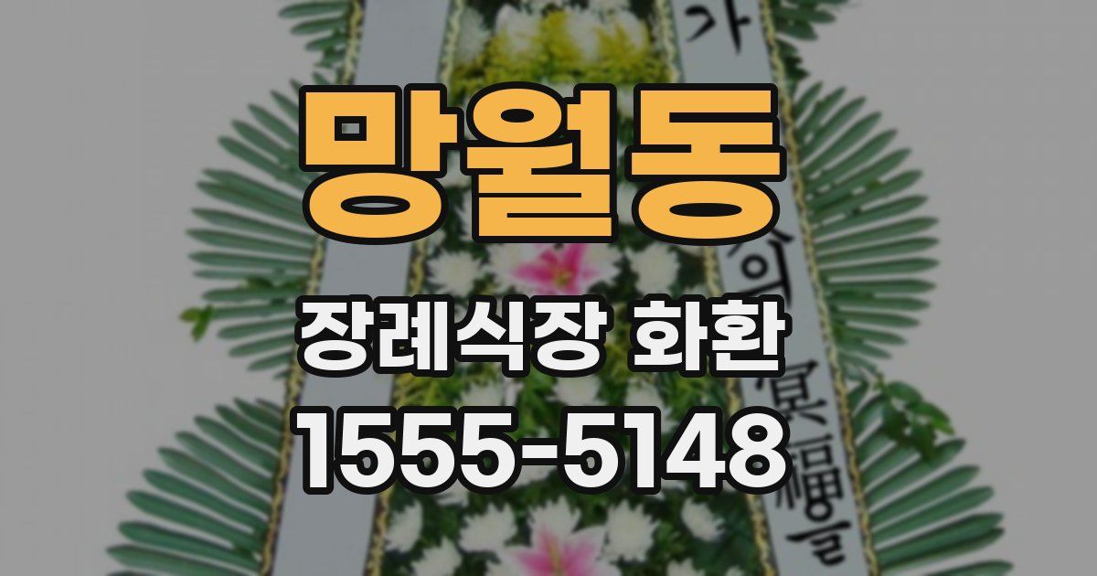 망월동 장례식장 화환