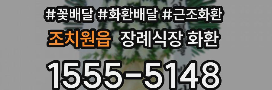 조치원읍 장례식장 화환