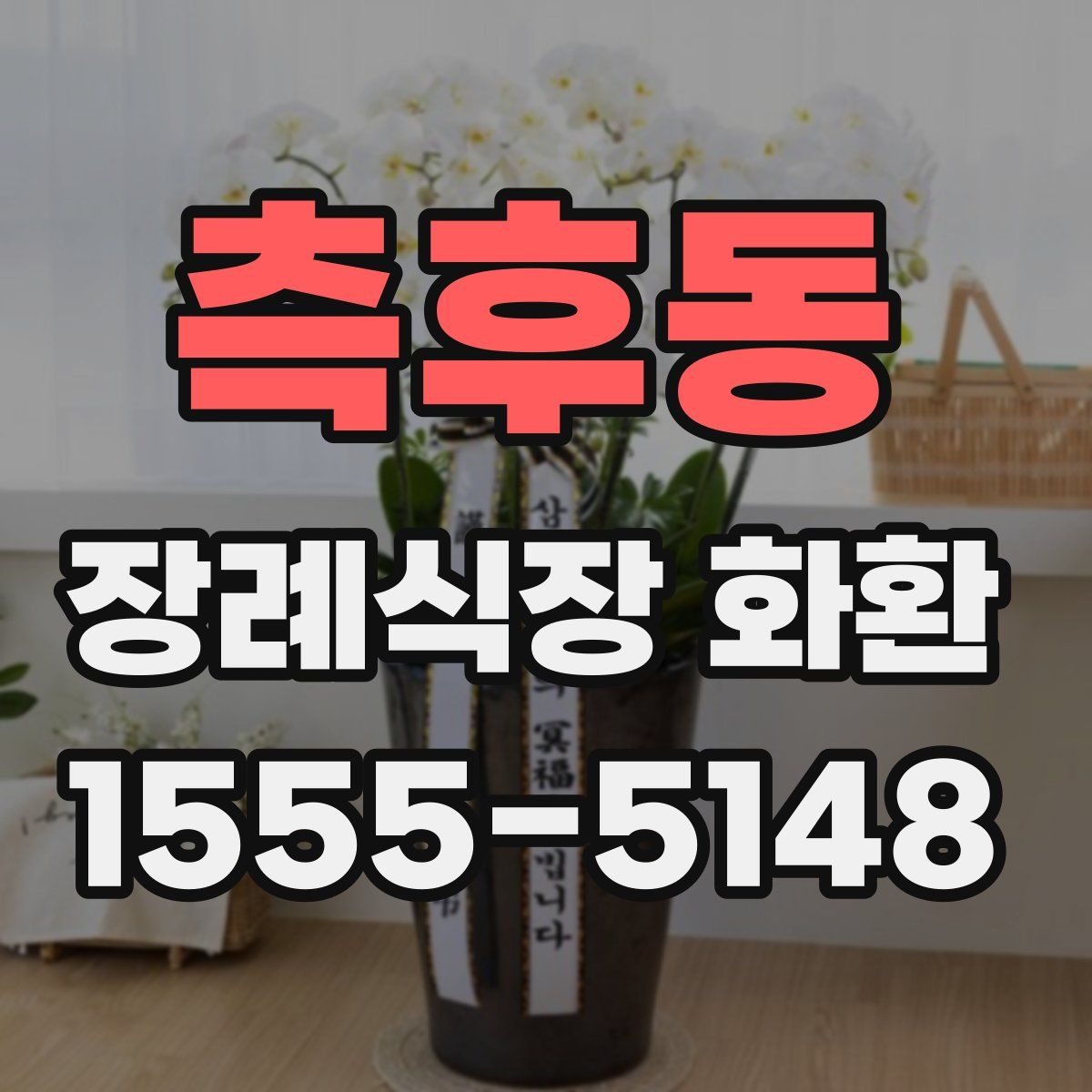 측후동 장례식장 화환