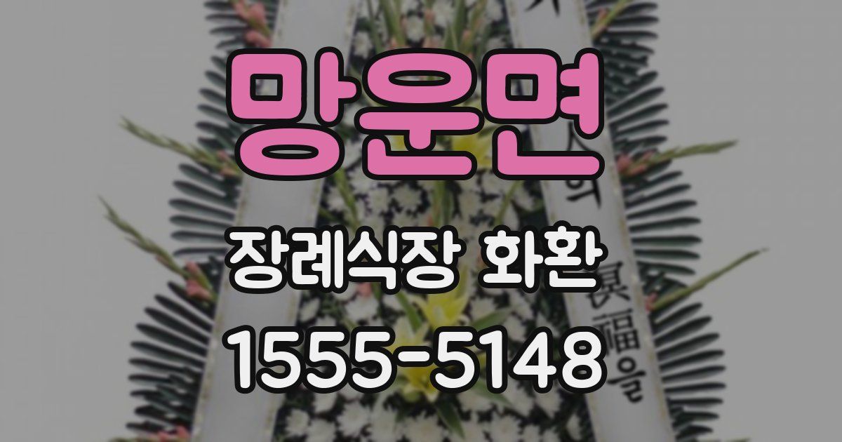 망운면 장례식장 화환