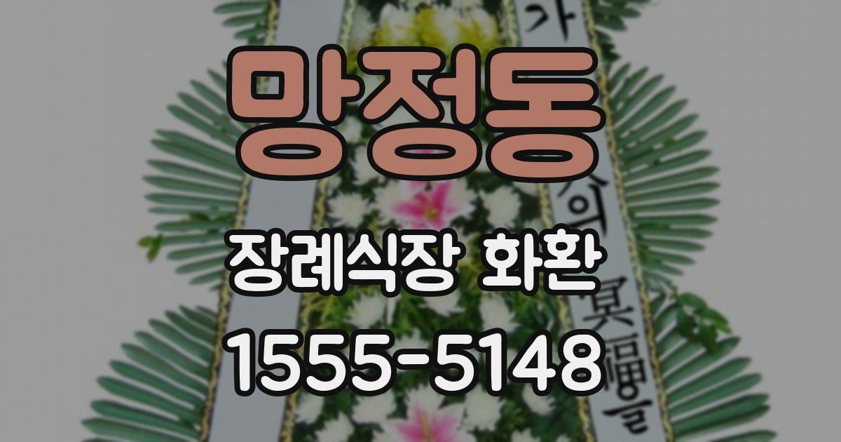 망정동 장례식장 화환