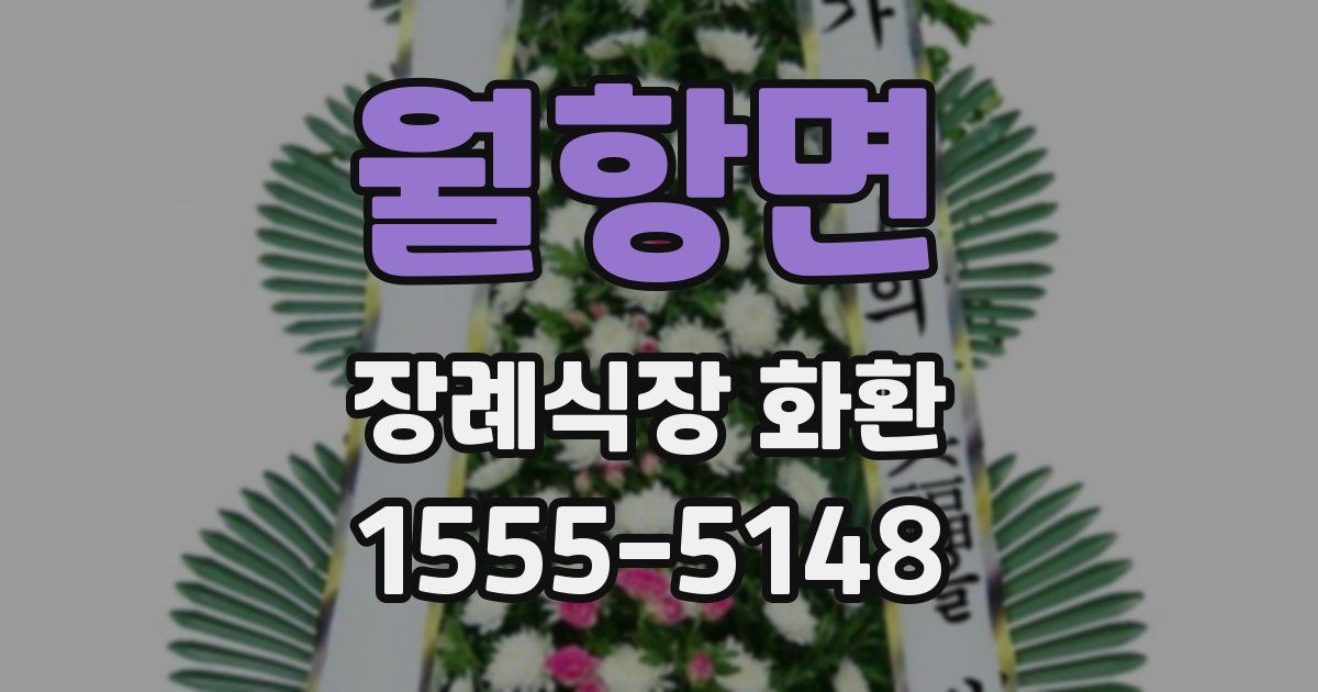 월항면 장례식장 화환