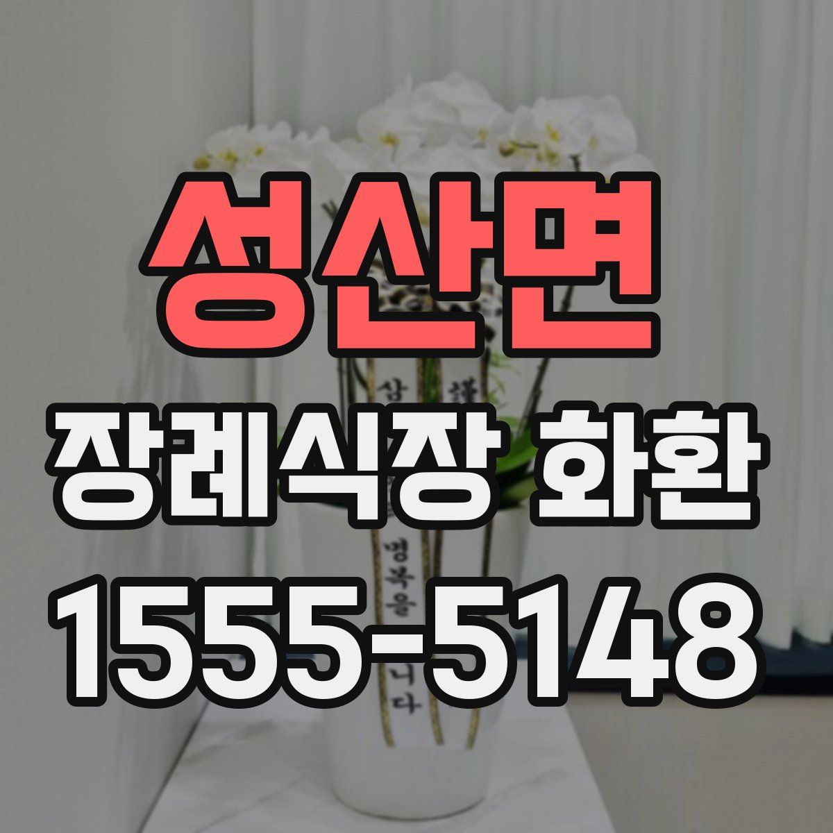 성산면 장례식장 화환