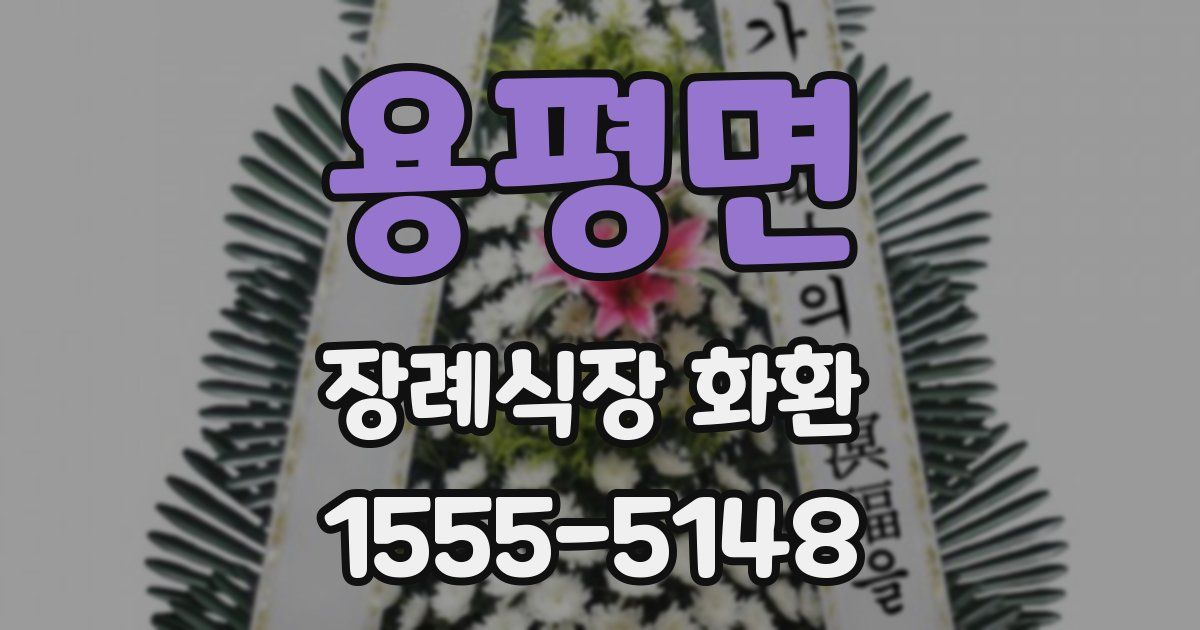 용평면 장례식장 화환