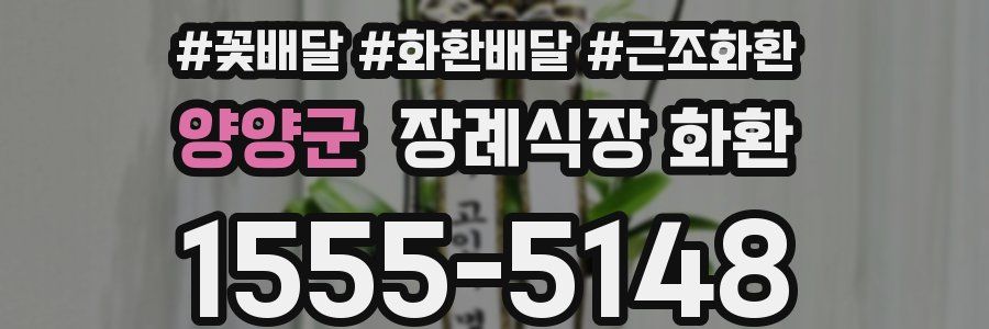양양군 장례식장 화환