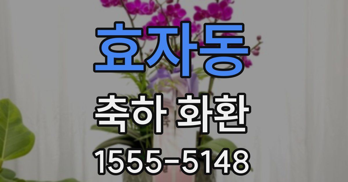 효자동 축하 화환