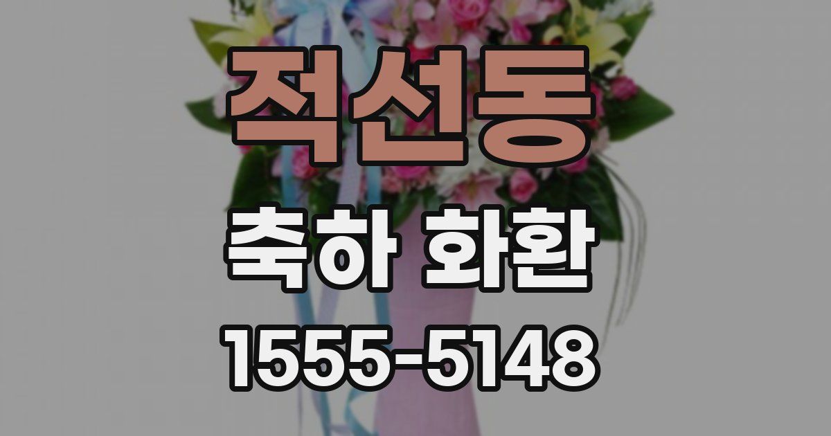 적선동 축하 화환
