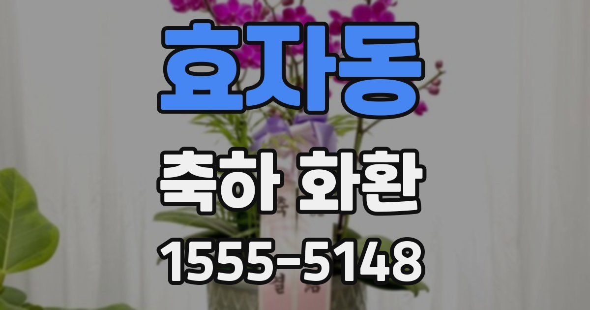 효자동 축하 화환