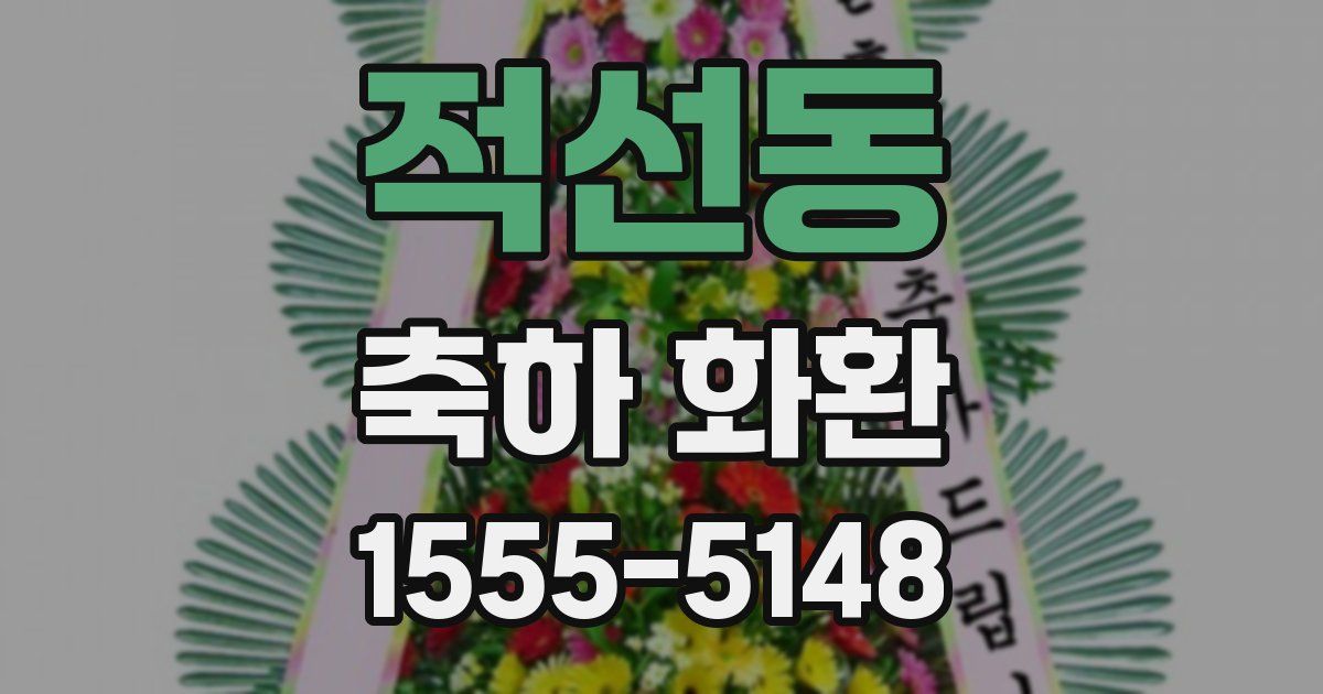 적선동 축하 화환