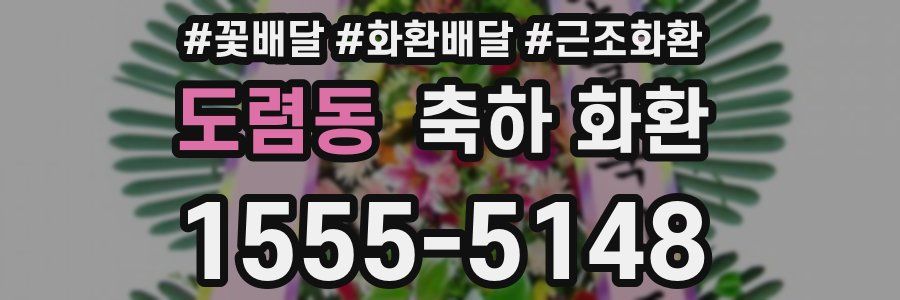 도렴동 축하 화환