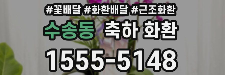 수송동 축하 화환