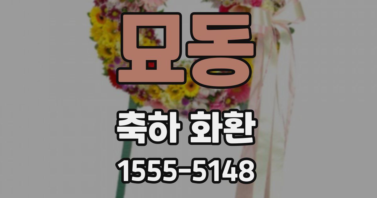묘동 축하 화환