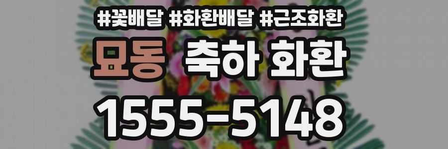 묘동 축하 화환