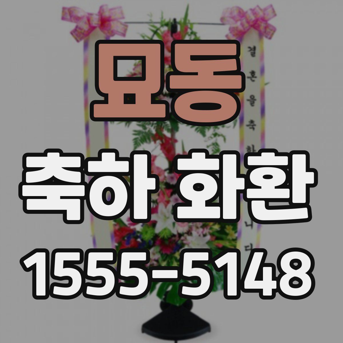 묘동 축하 화환
